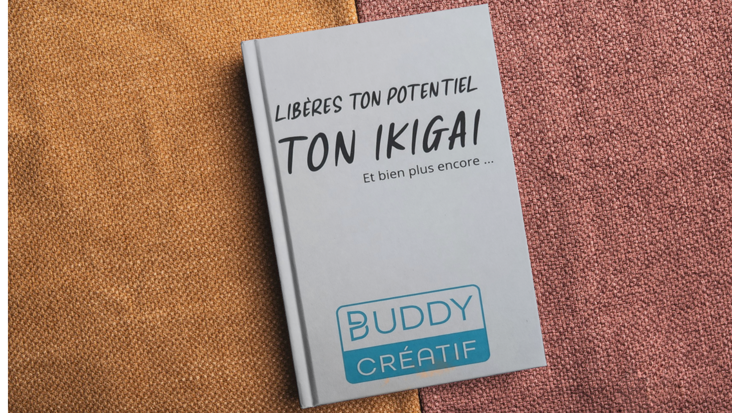 livre2-6-cles-pour-eviter-les-erreurs-de-casting-diasposerve